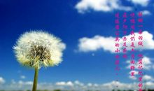 如果我是一株蒲公英_3000字