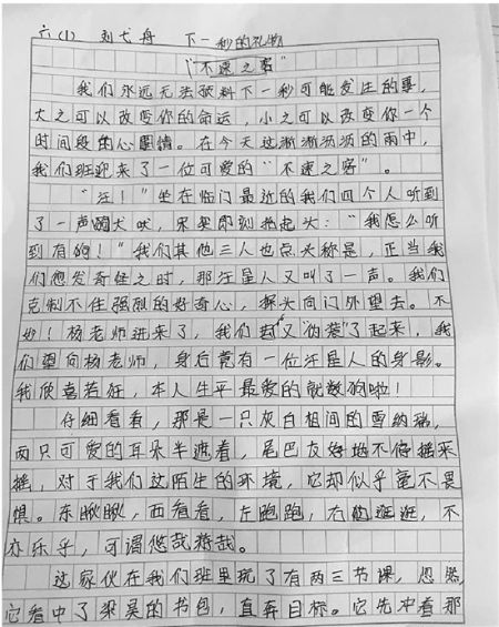 自我比例纸_500字