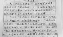 纸的自述_500字