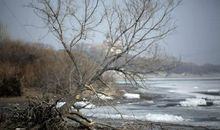 母亲河在哭泣_750字