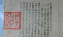 缉拿盗梦大盗_800字