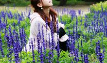 薰衣草寓言之选美比赛_550字