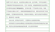 ０和它的数字兄弟_800字