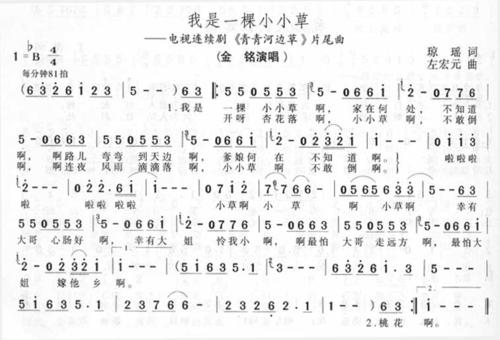 我是一个小草_800字