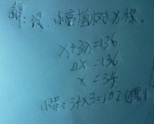 一棵大树恢复了_1500字