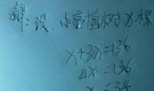 一棵大树续写_1500字