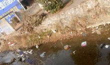 鸭子惊魂记_2000字