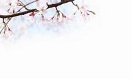 梦的结束是什么？ _1500字