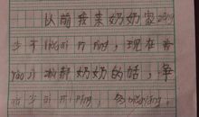 天堂的愿望_600字