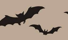 我好想让世界上没有金钱_650字