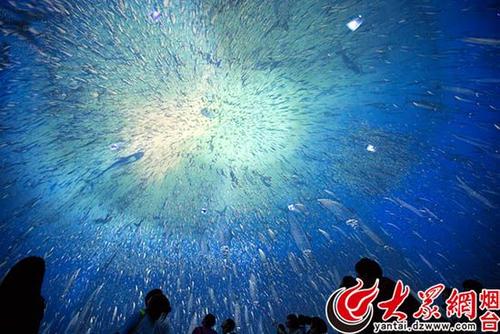 梦想 - 嵌入蓝蓝的天空_750字