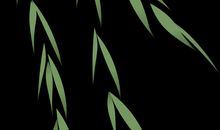 树叶的神奇旅行_1200字