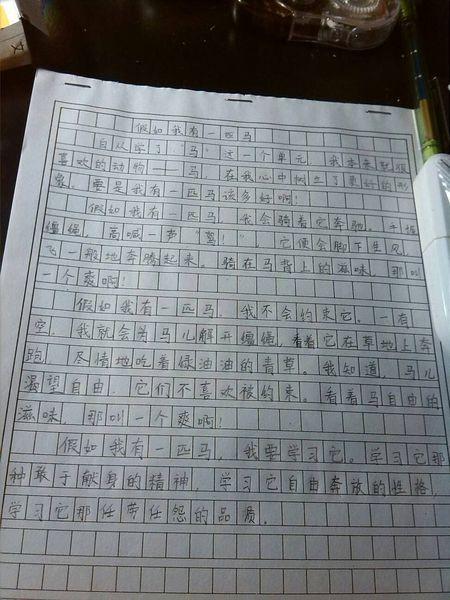 如果我有一匹马_900字