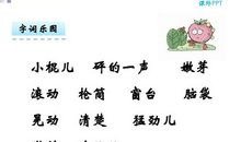 另一颗小豌豆_650字