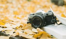 门是开着的_1200字