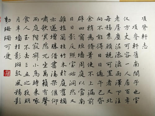 当嫉妒时，敲门_900字