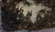 可爱的小河蟹_750字