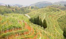 喜看港城巨变_900字