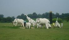 [原创达人]我的平凡史_900字
