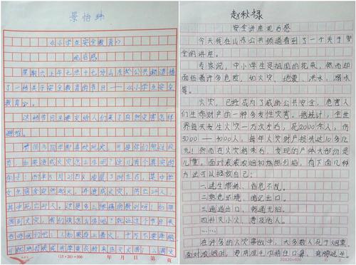 “安全教育中小学生的知识讲座_700字