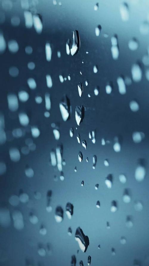 雨钻演奏爱情回忆_1200字