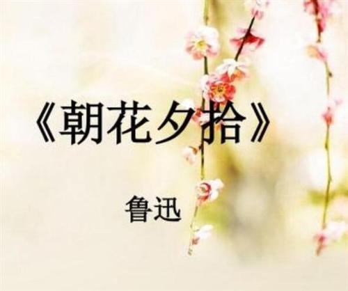 阅读“拾取”