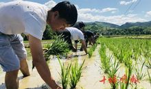 体验生存　感悟自然　　_1000字