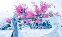 读《幻城》有感_250字