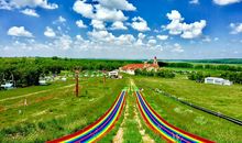 未来农林大世界_550字