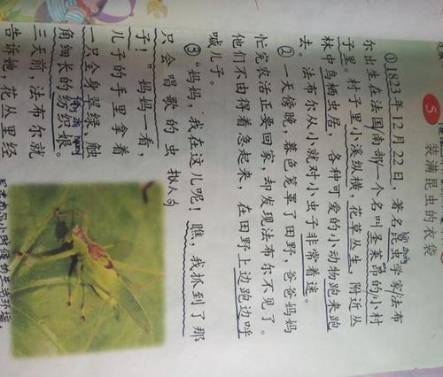 有很多家庭作业_500字