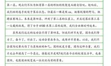 运动会观后感_800字