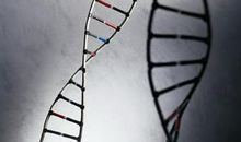 阿基米德VS阿凡提_2000字