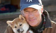 观《忠犬八公的故事》有感_1200字