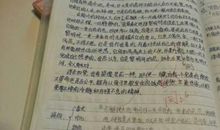 我喜欢的一句名言_550字