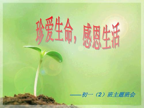 感恩节生活 - 阅读“感恩生命”的感觉_600字