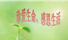 感恩生活——读《感恩生活》有感 _600字