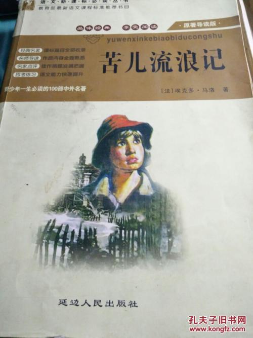 这部电影正在讲述一个可爱的活泼的小男孩riff，谁卖掉了他的父亲，从那时起，开始了他的徘徊者。在徘徊的方式，他经历了很多痛苦，但他总是坚定的信念，顽强，艰难会克服各种艰辛，终于找到了一个亲戚，朋友，过着幸福的生活。