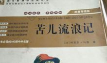 观《苦儿流浪记》电影有感_650字