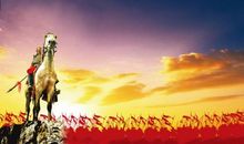 论战争和平与人性——《战马》观后感_1000字