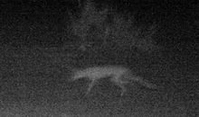 野马星空唯我独行_700字