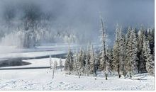 夏雨，思绵绵_150字