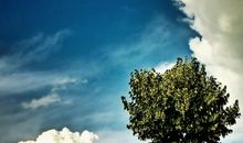 在希望的土壤里成长_650字