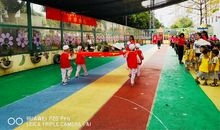 观《小小升旗手》有感_500字