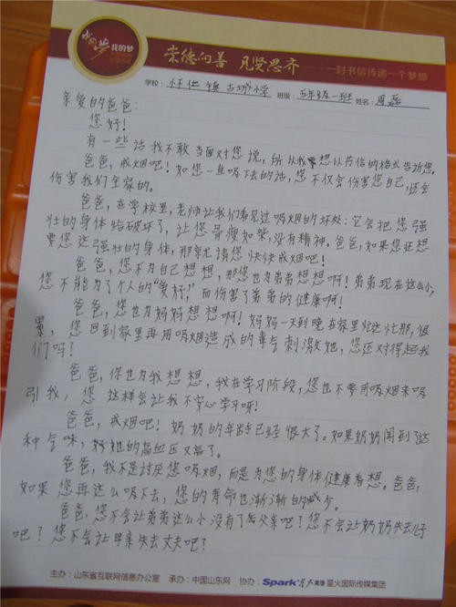 第一个字母：给爸爸的一封信_450字
