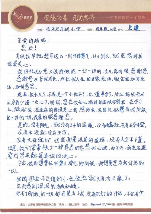 一书信：给你的母亲是一封信_450字