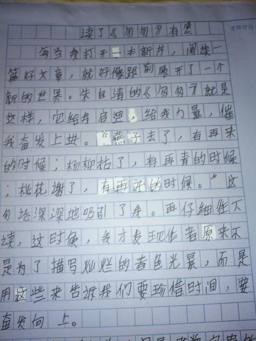 阅读“匆忙”的感觉_350字