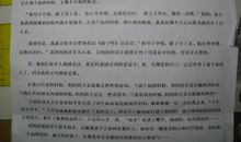 有意义的下午_350字