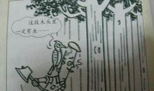 《这段木头里有虫》观后感_450字