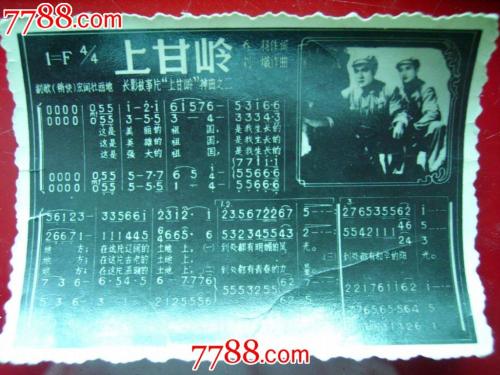 Ganlings后面后_500字