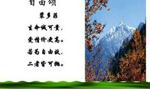 时间诚可贵 生命价更高_1000字